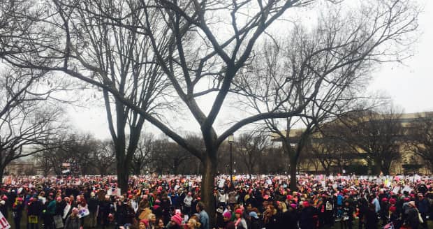 Washington DC Sea of Women